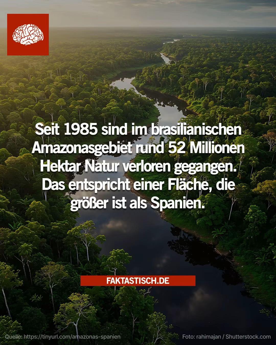 @Faktastisch