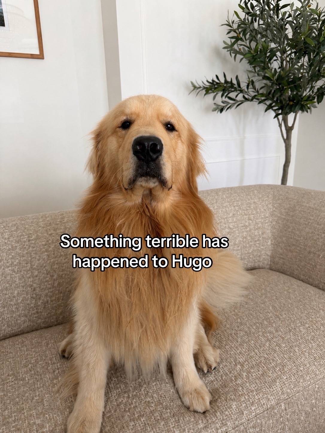 @Maui, Ruby +Hugo