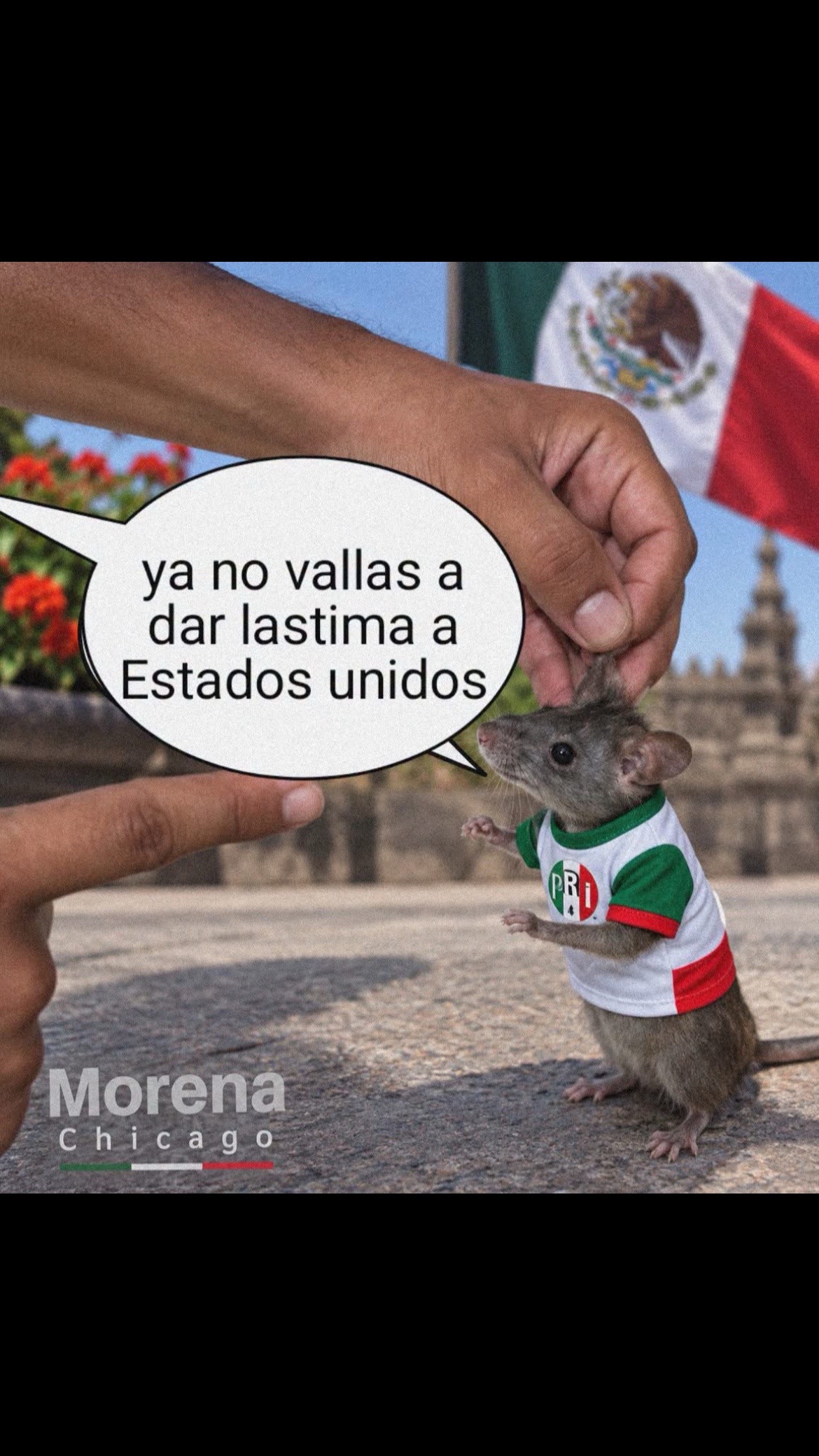 @Jesus De la Torre