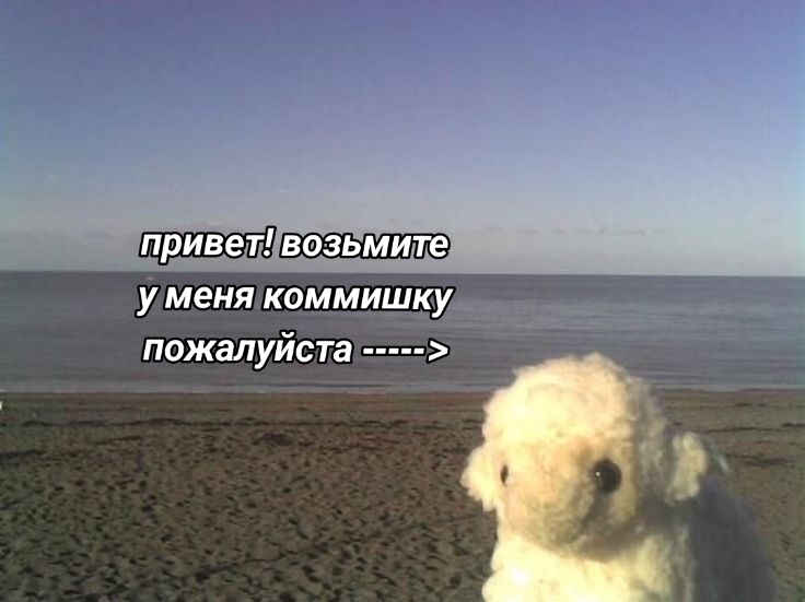 @katyakopter