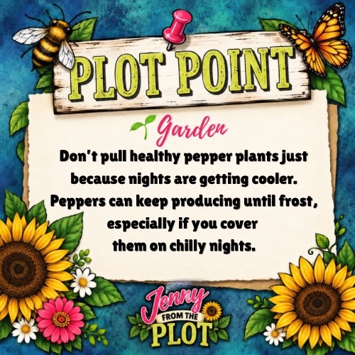 @Jenny from the Plot 👩🏻🌾