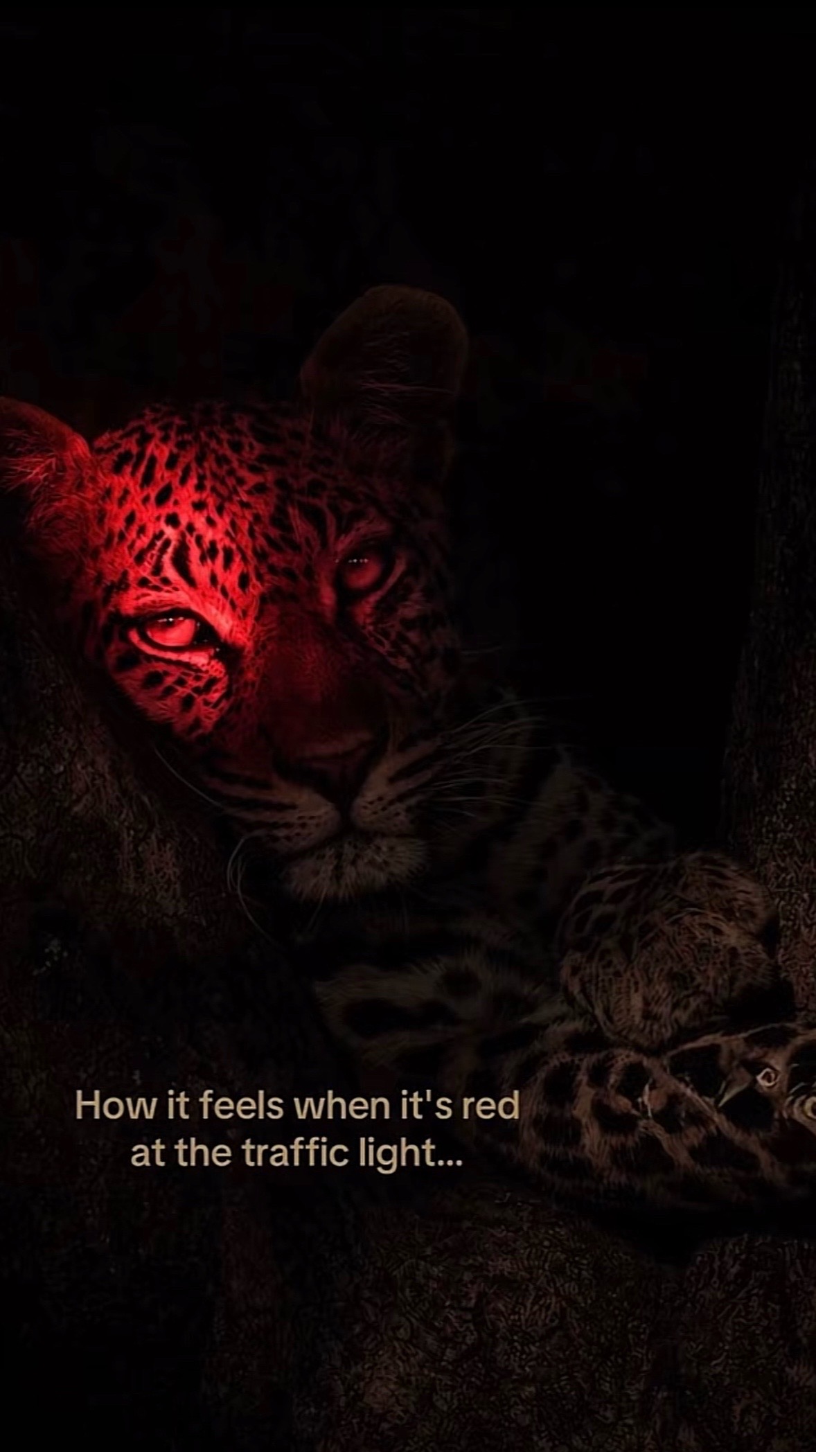 @Sam ๐