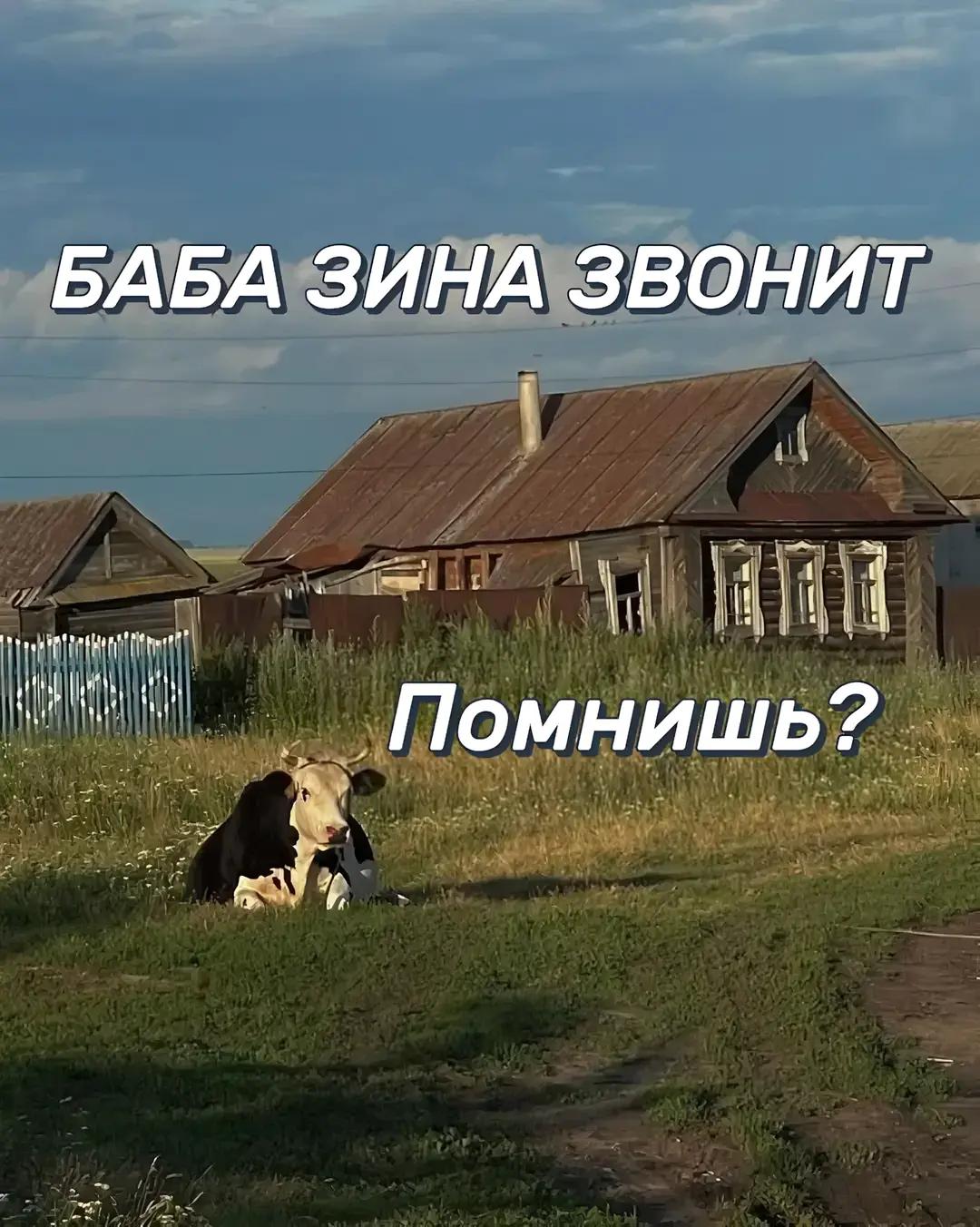 @dipxii