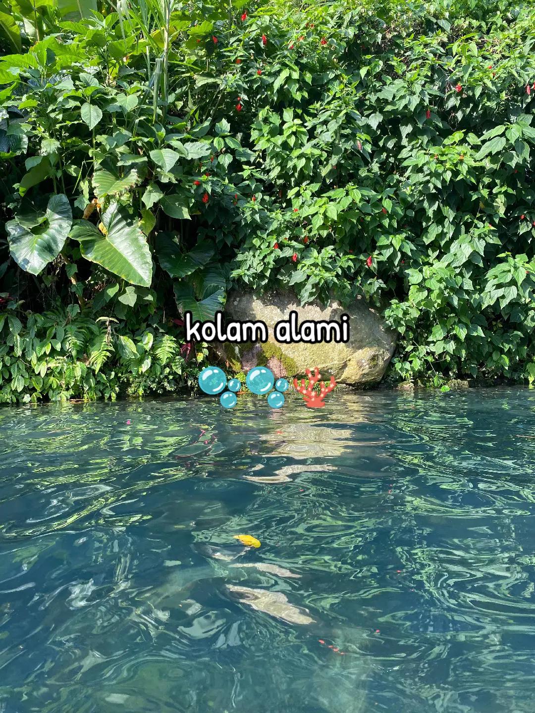 @harachann