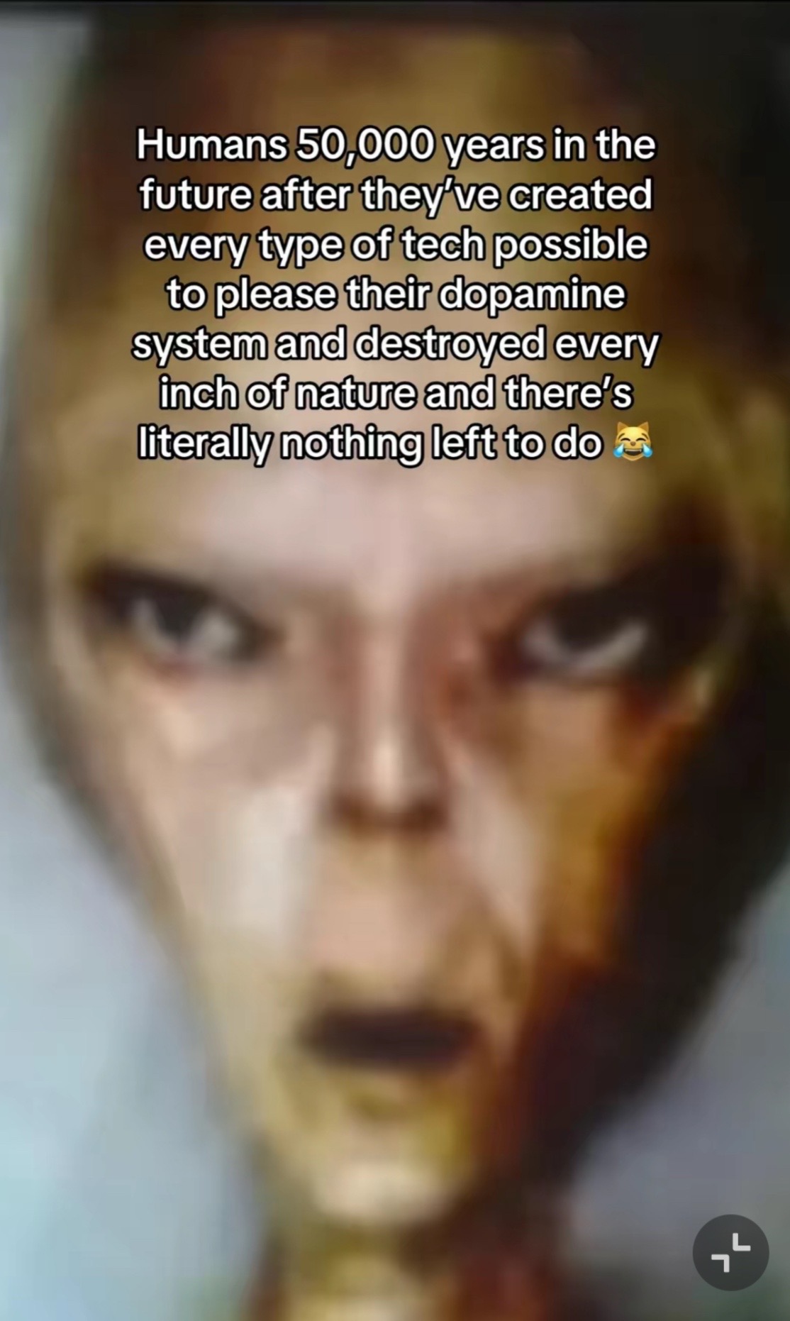@[kittenlobotomy]