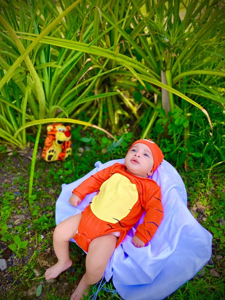 @🌷🩷