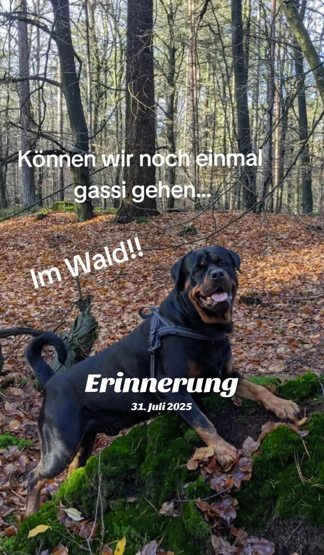@Nicole❤️Schröder🖤Kowalski ❤️