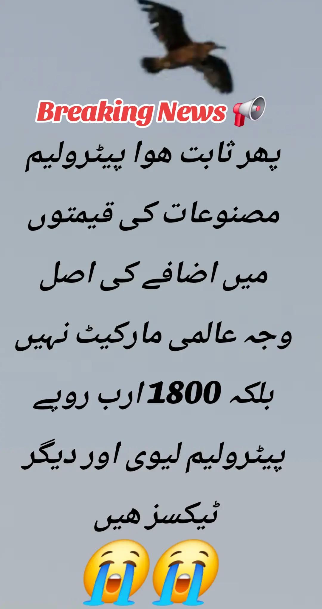 @اڈیالہ 804