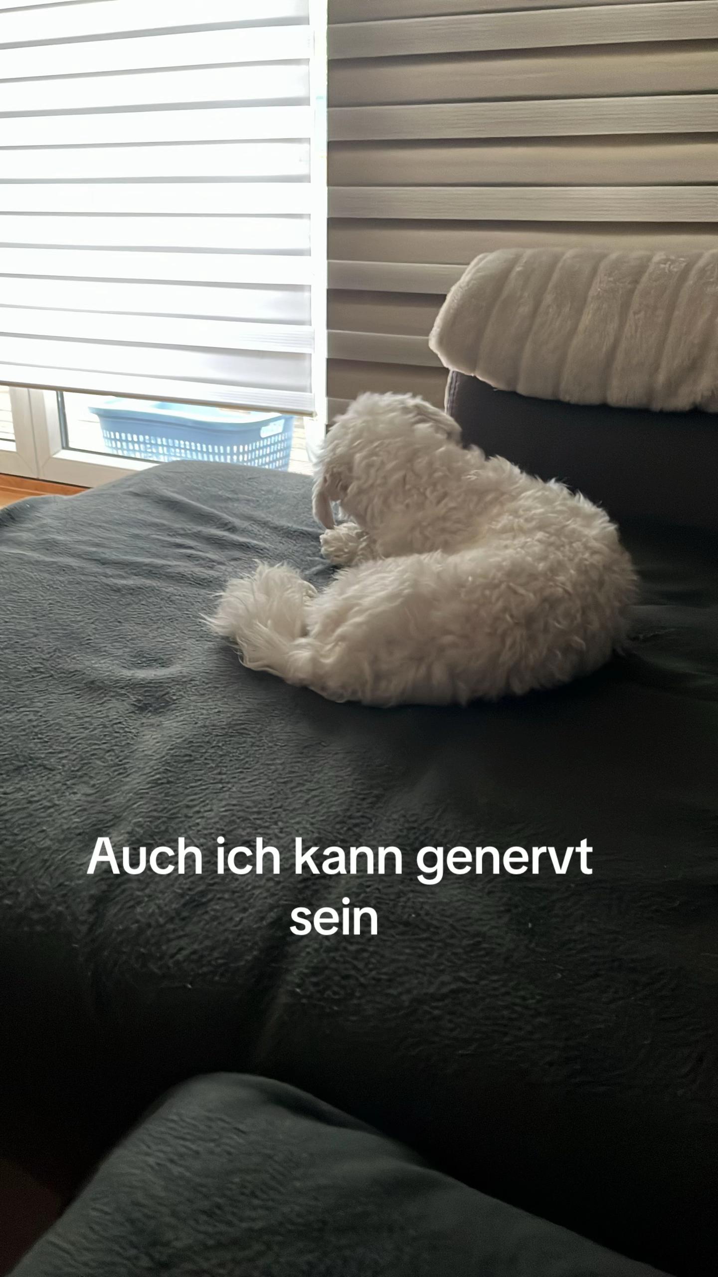 @Molly 🥰