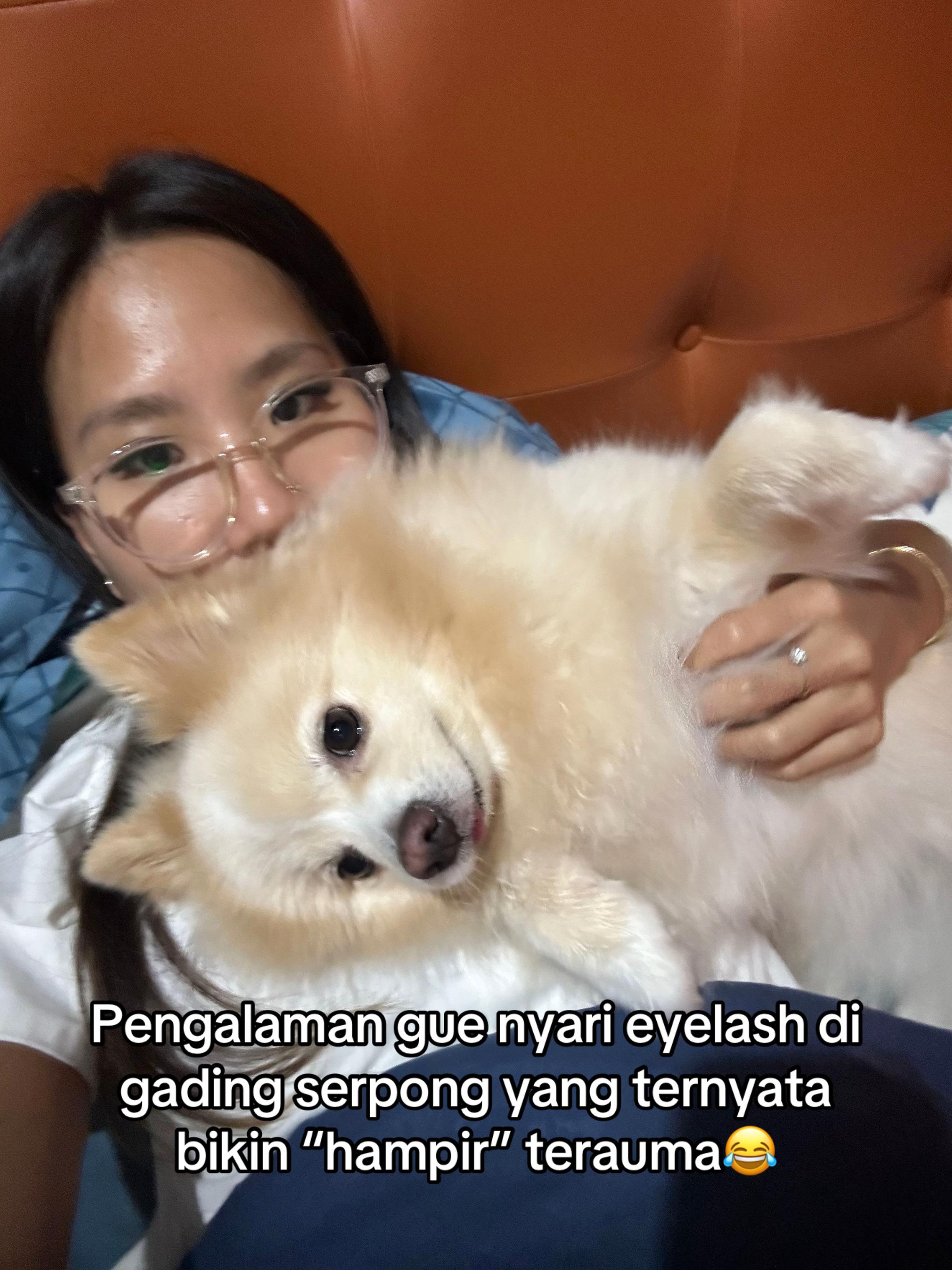 @Ceo of ikut-ikutan