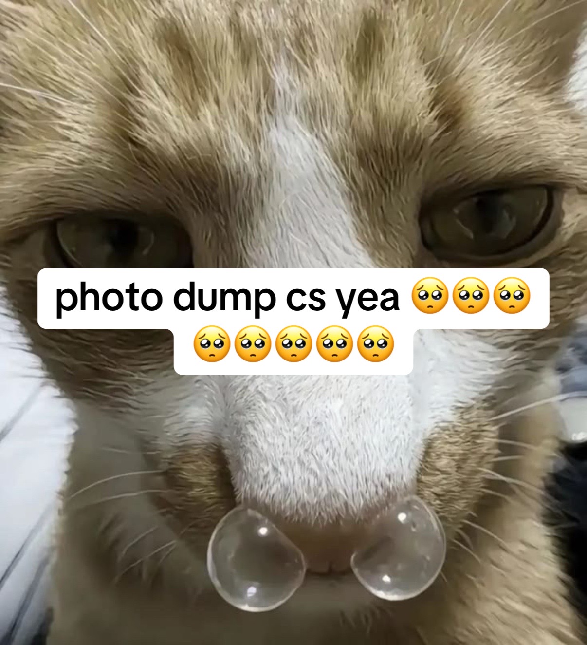 @&sum;(&deg;口&deg;๑)