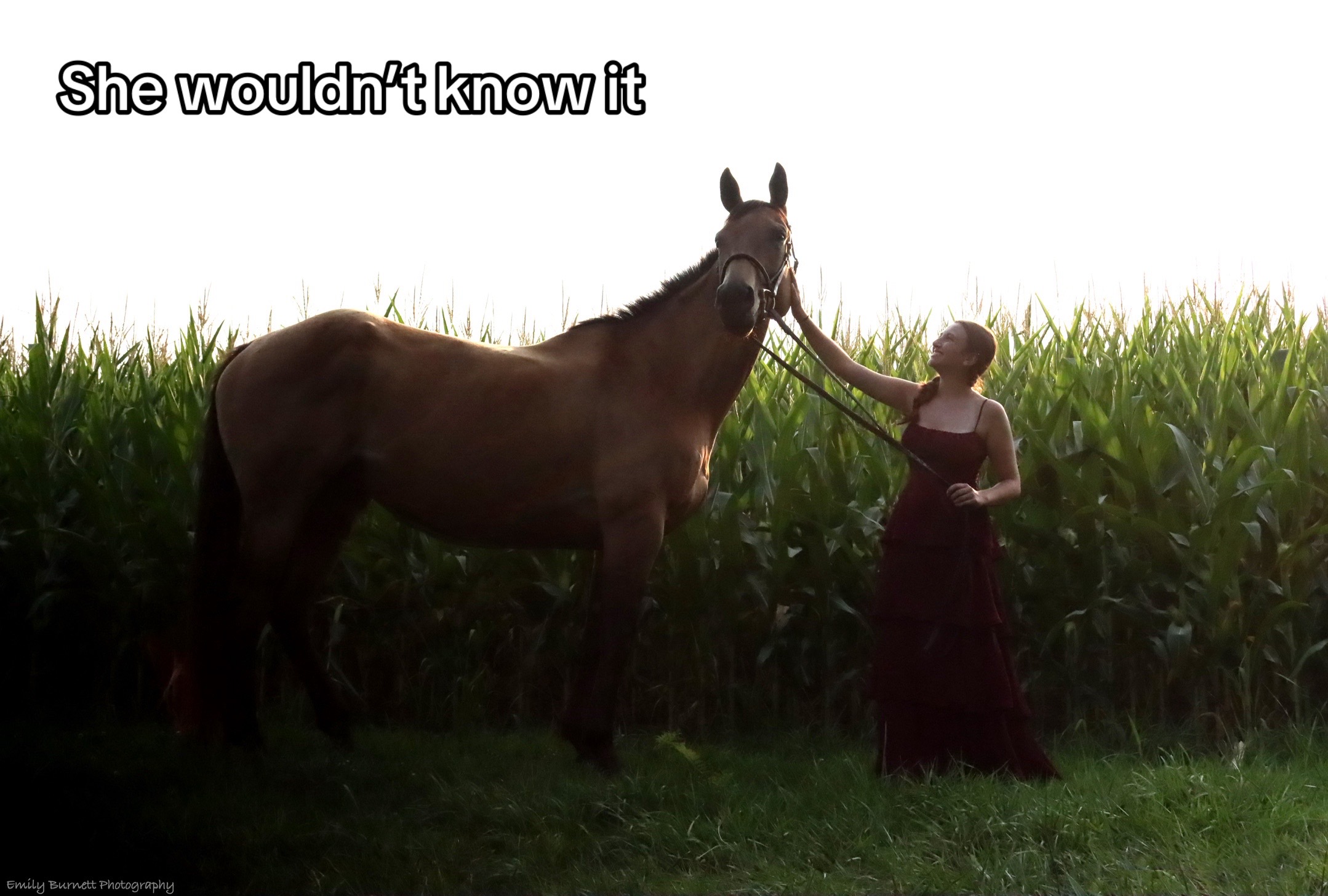 @Aftyn 🐎