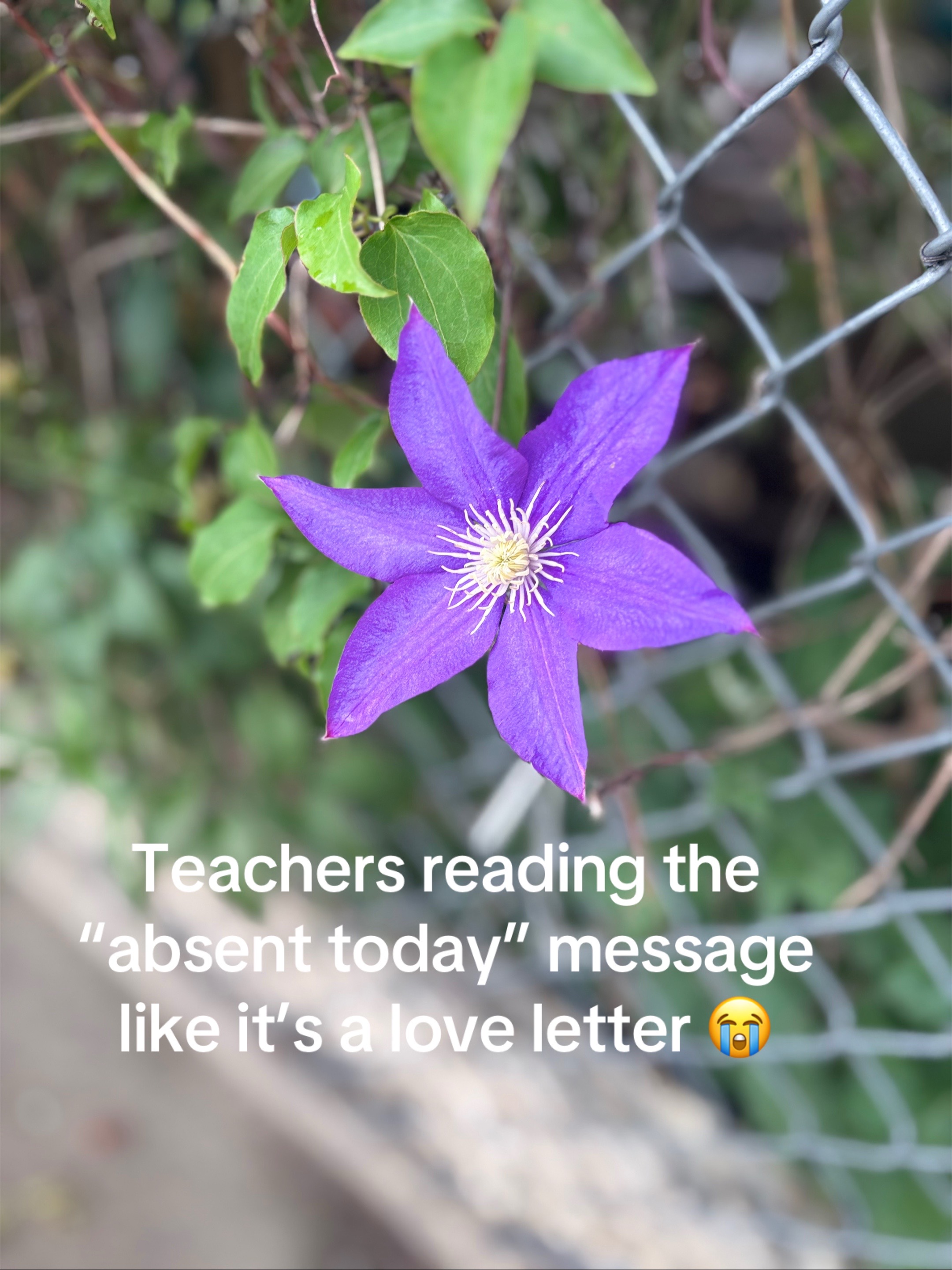 @Rishbydesign