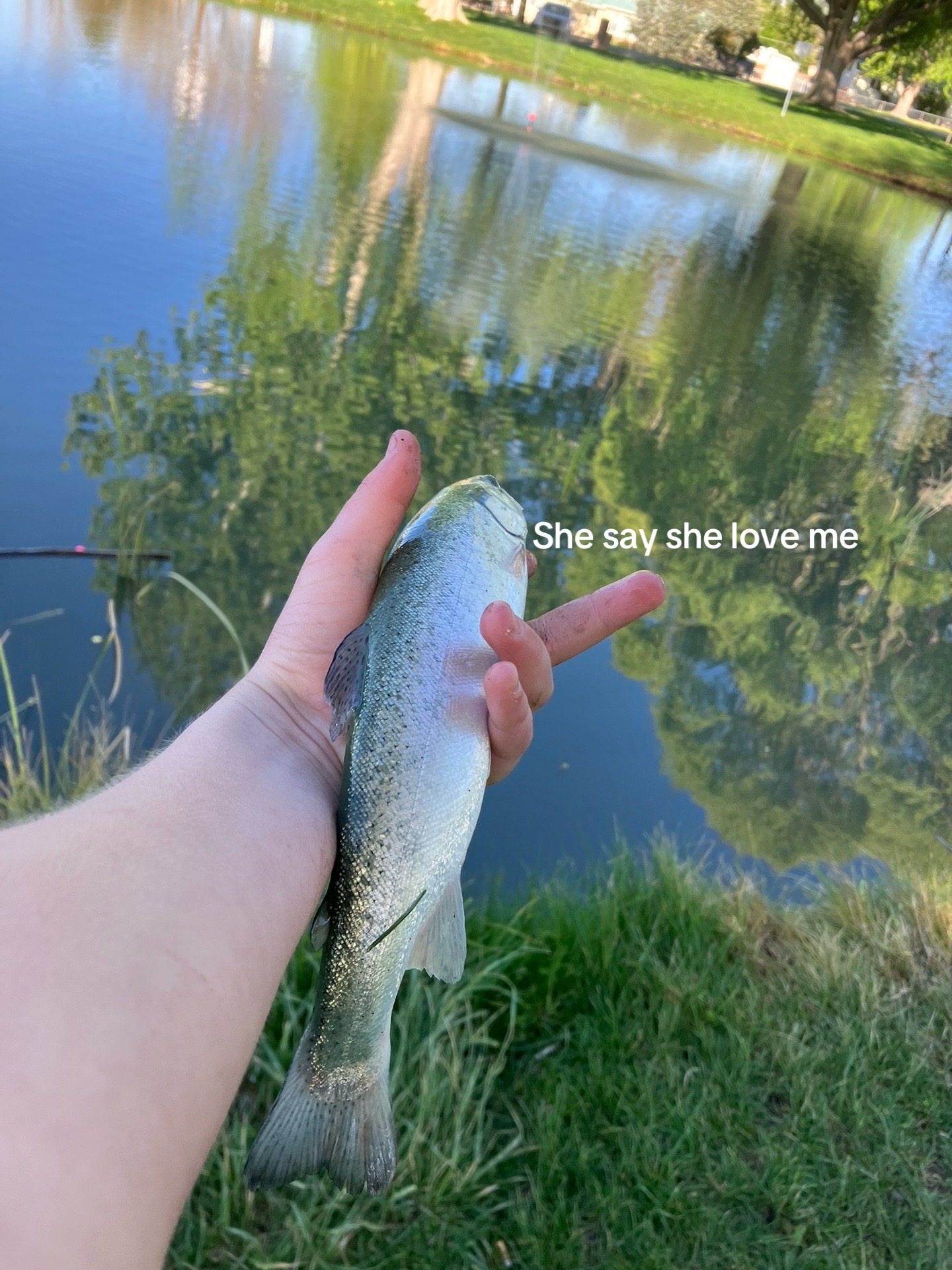 @🕊️_LLR_🕊️