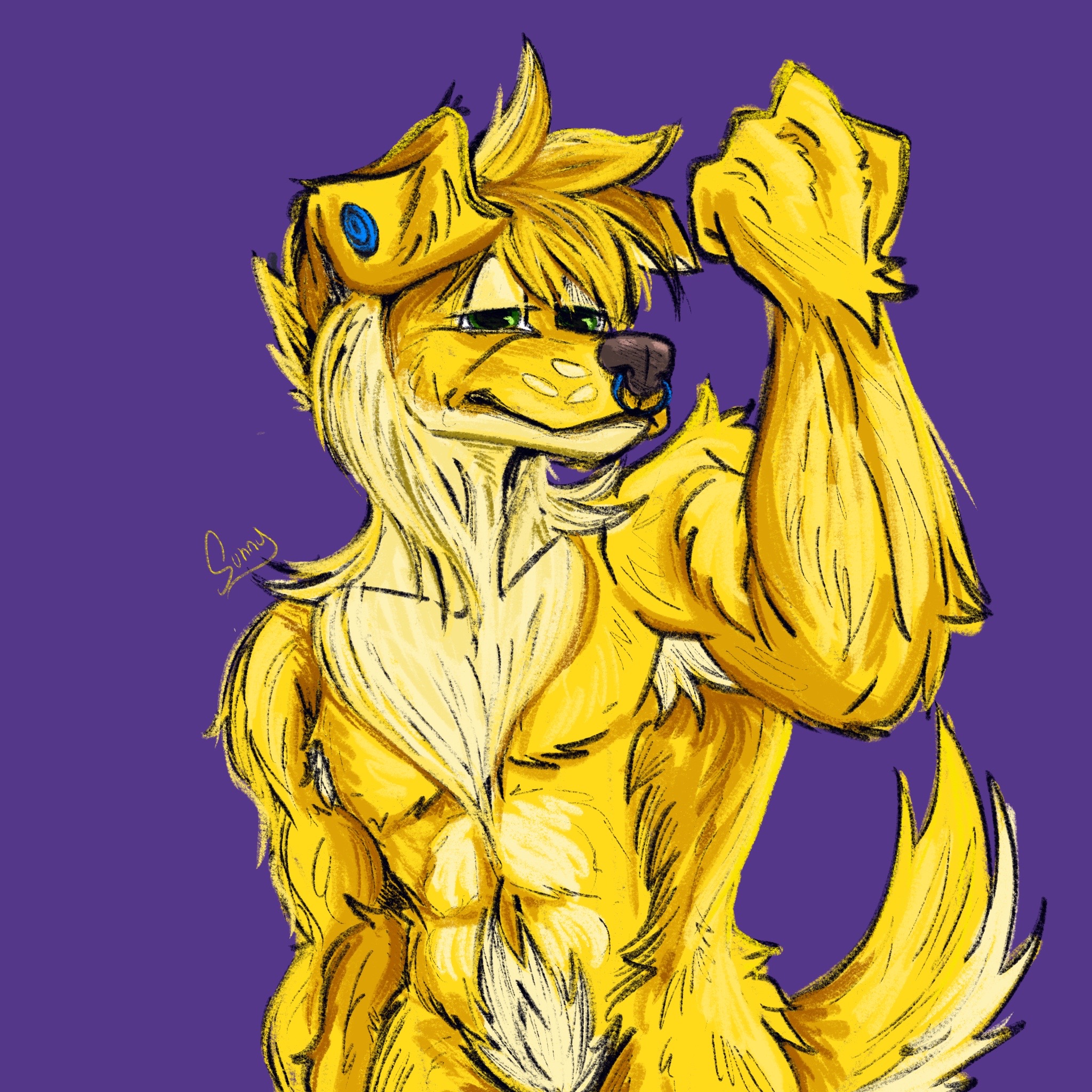 @Sunbeam uwu