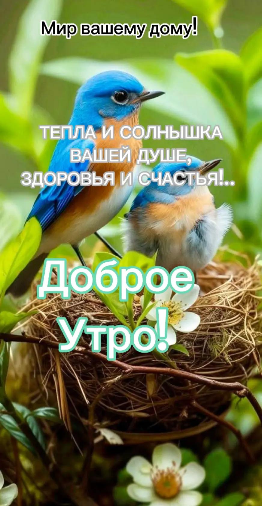 @Nataly