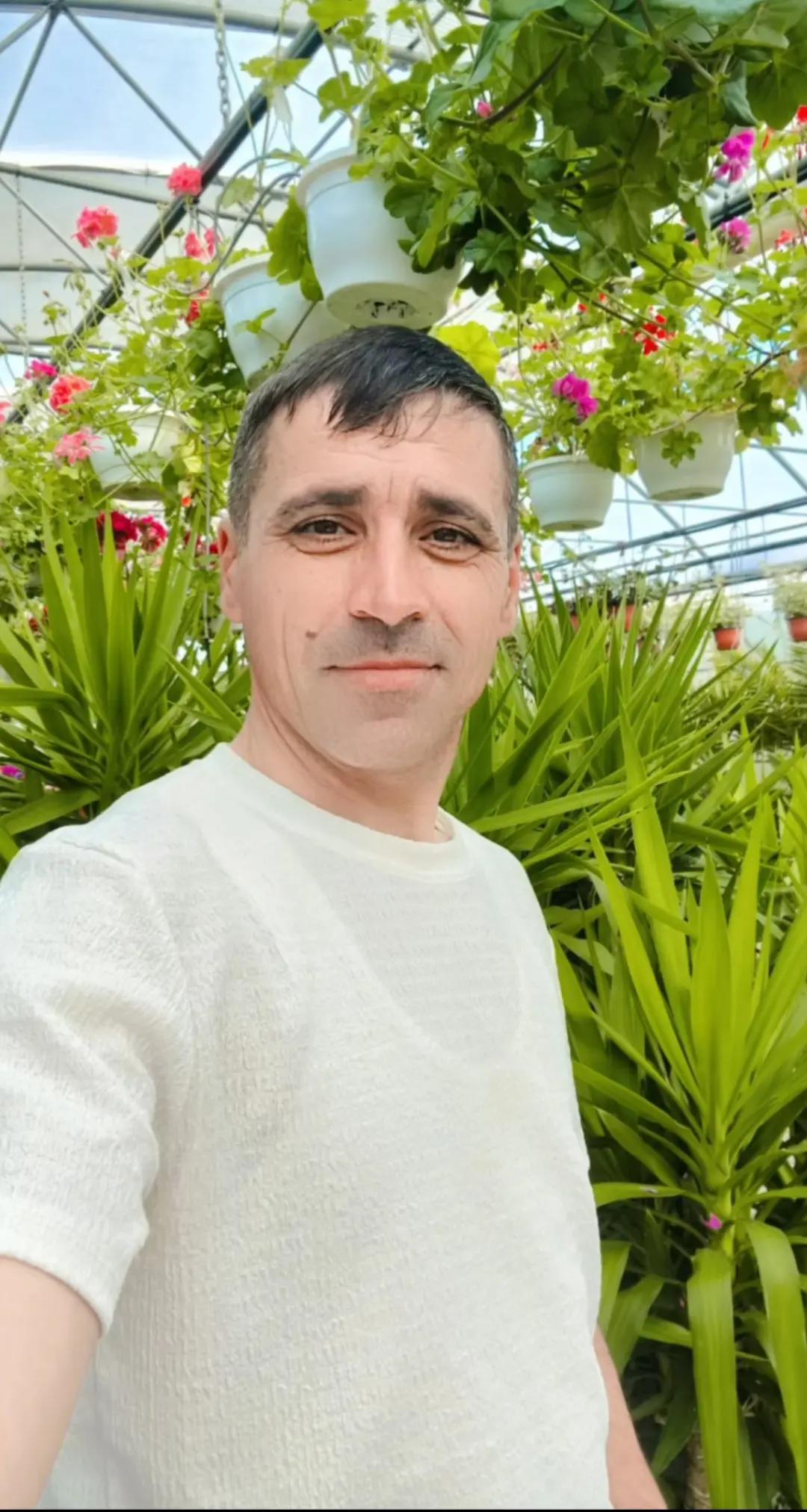 @Ion Georgescu