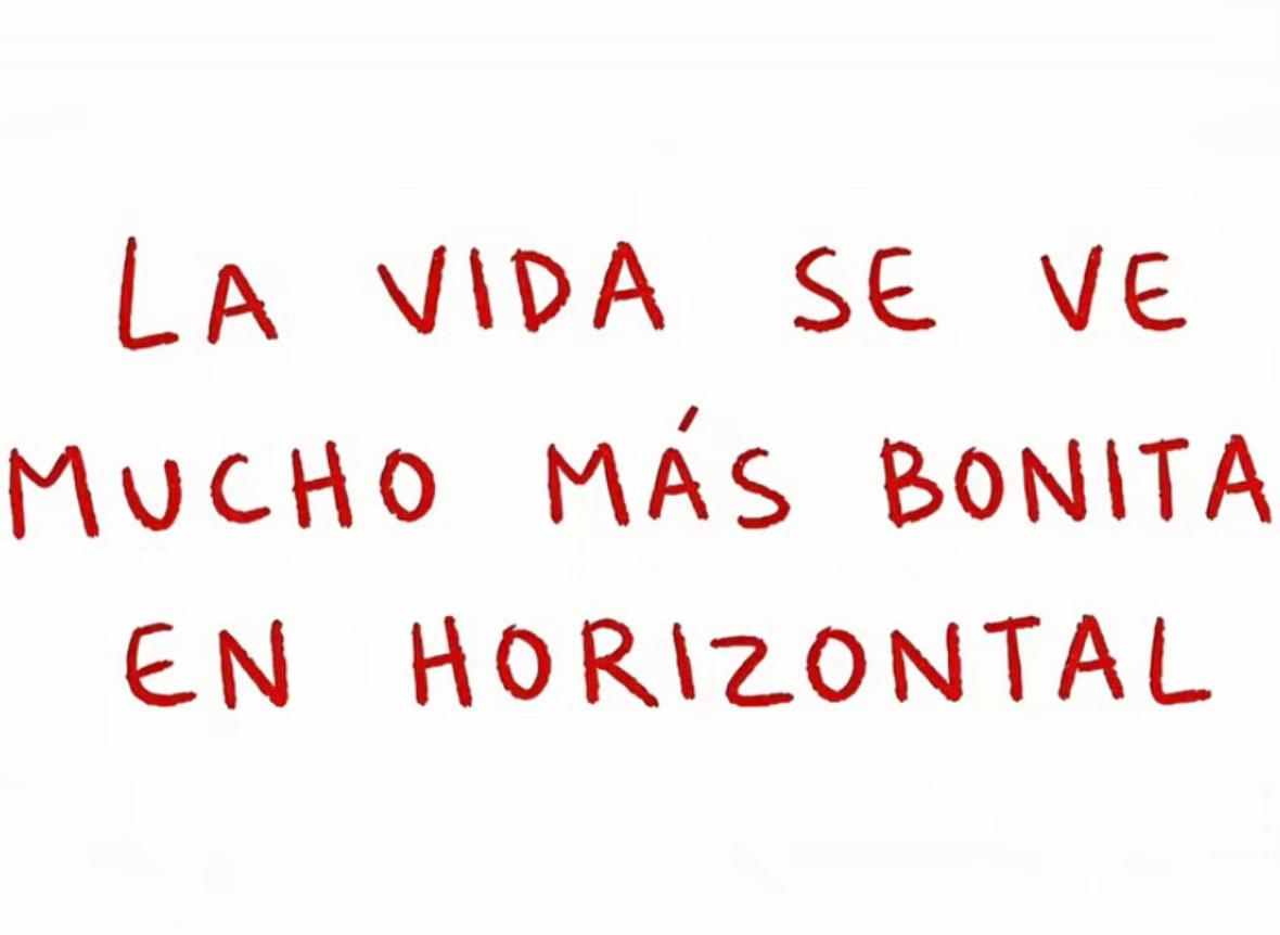 @Renata Campo