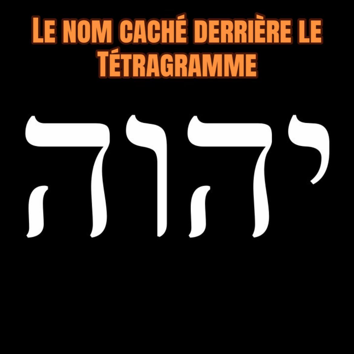 @Homme léopard 🐆