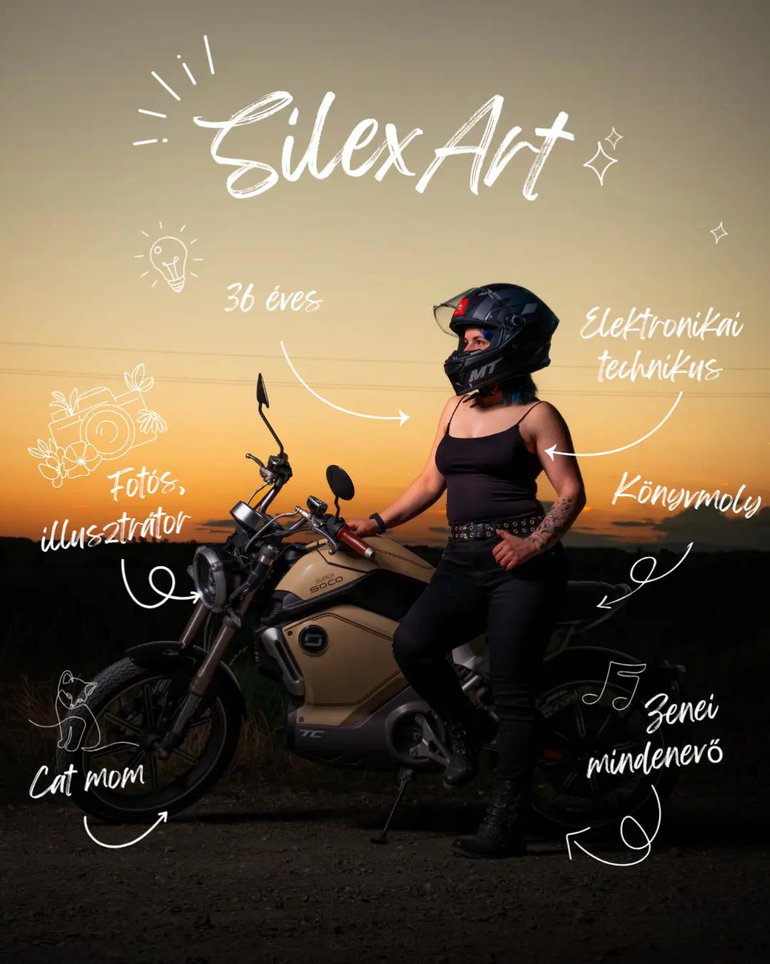 @Silex Art