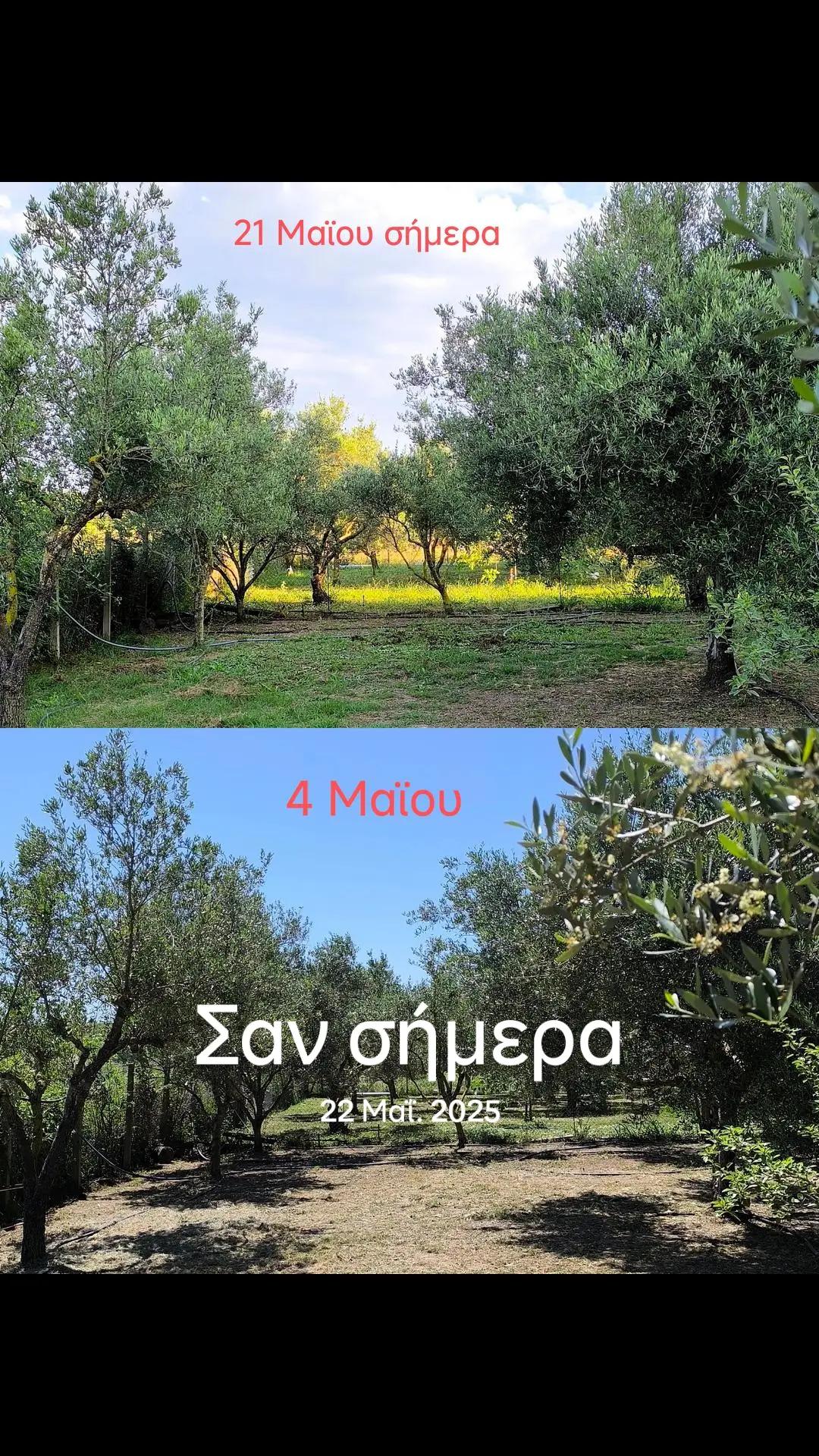 @&Alpha;&gamma;&alpha;&lambda;&iota;&alpha;&nu;ό&sigmaf; &Iota;&omega;ά&nu;&nu;&eta;&sigmaf; &Gamma;&epsilon;&omega;&pi;ό&nu;&omicron;&sigmaf;