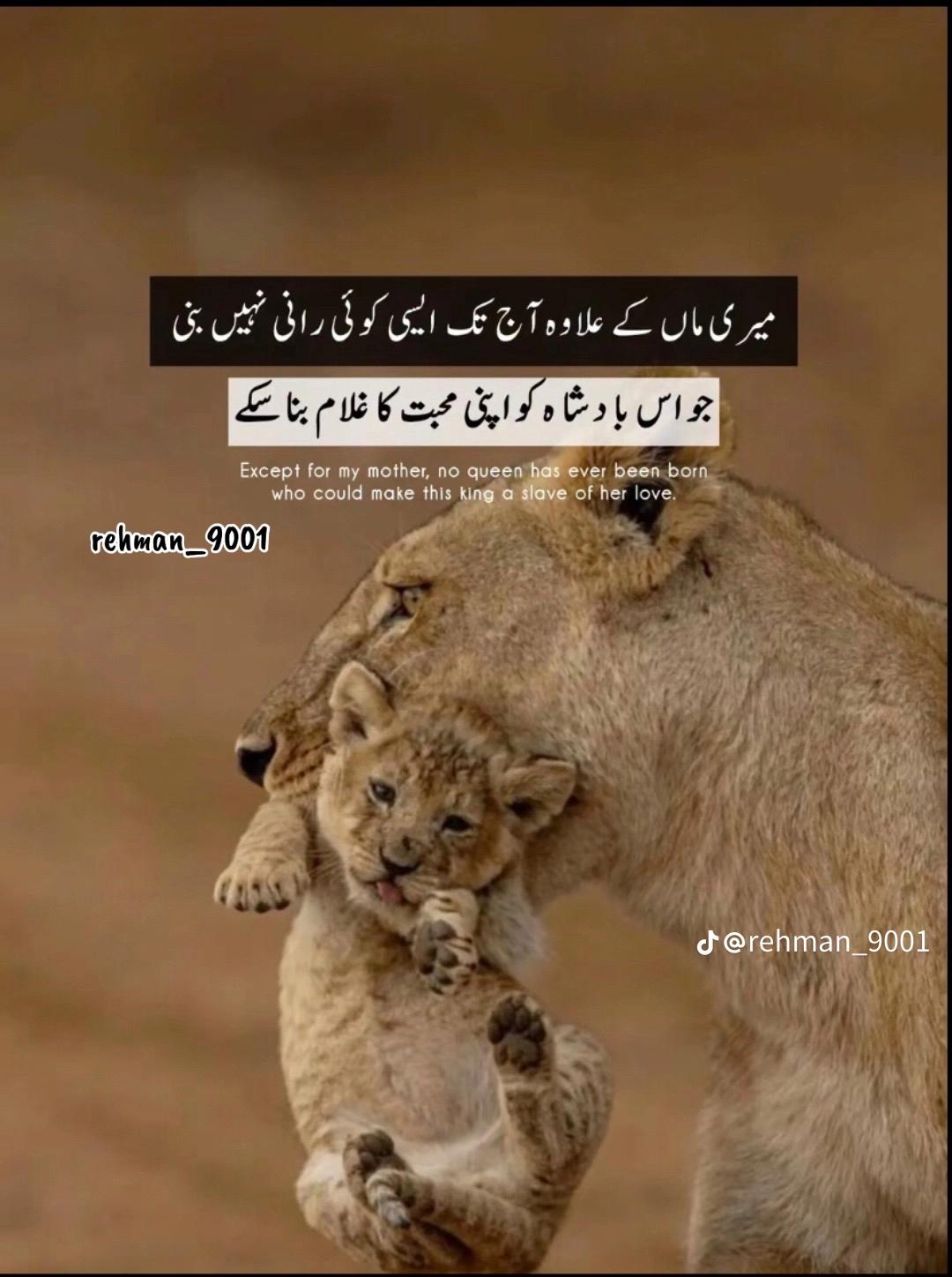 @SHOOK 🪽🦅🇵🇰 INSHALLAH 🇮🇹