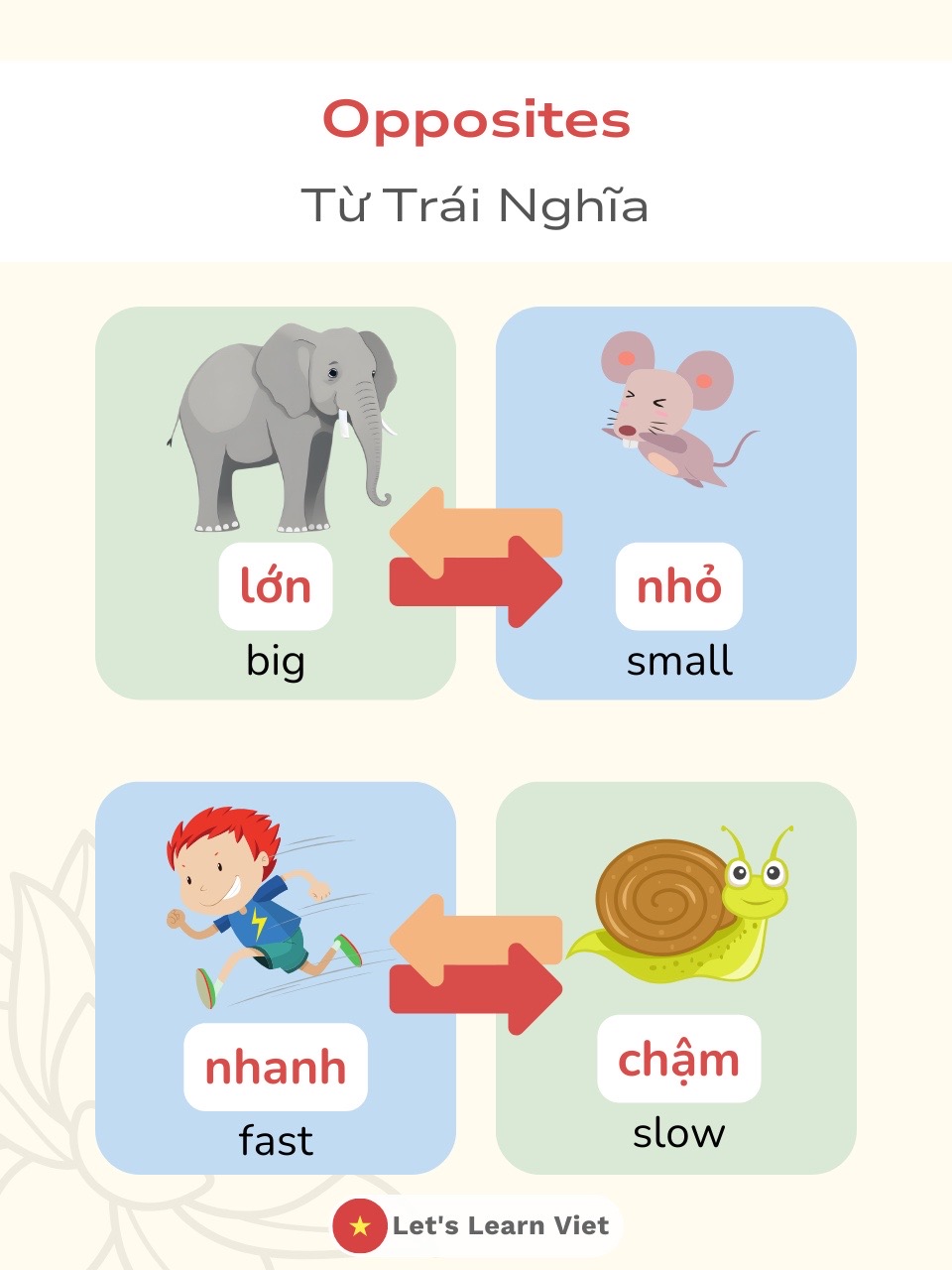 @Lets Learn Viet