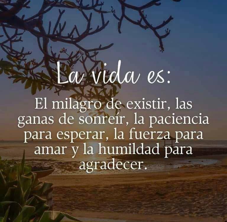 @🎙🎶LA VIDA ES UNA CANCION🎶🎙