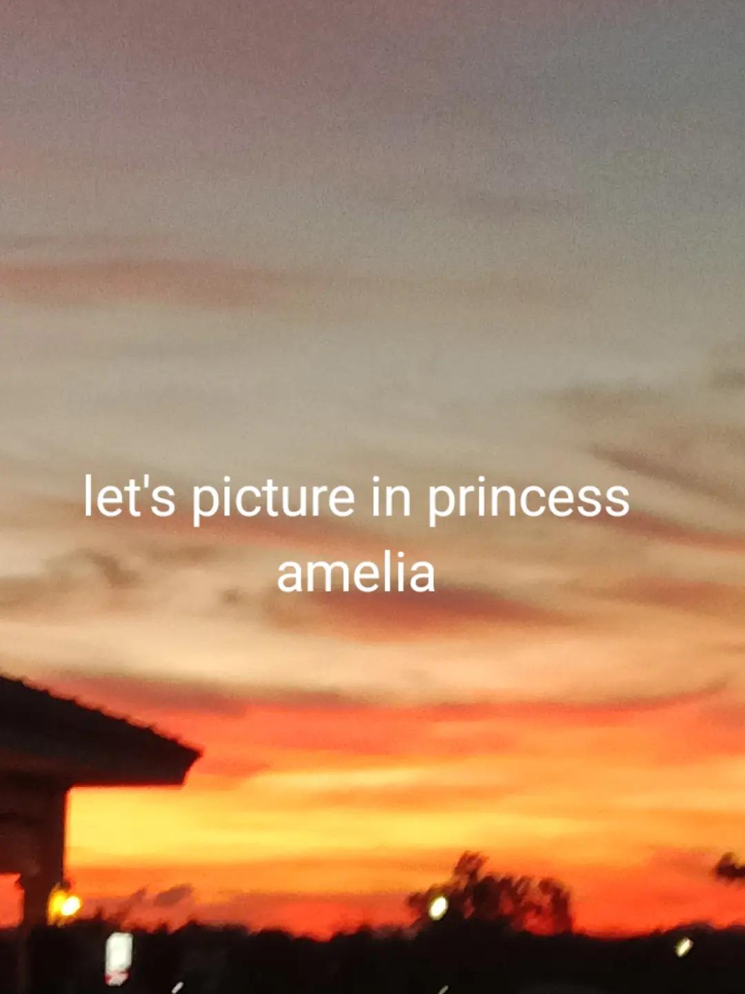 @princess amelia wu