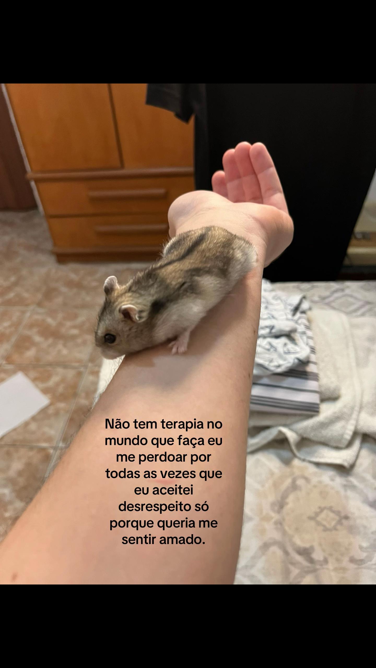 @cicatrizes poéticas