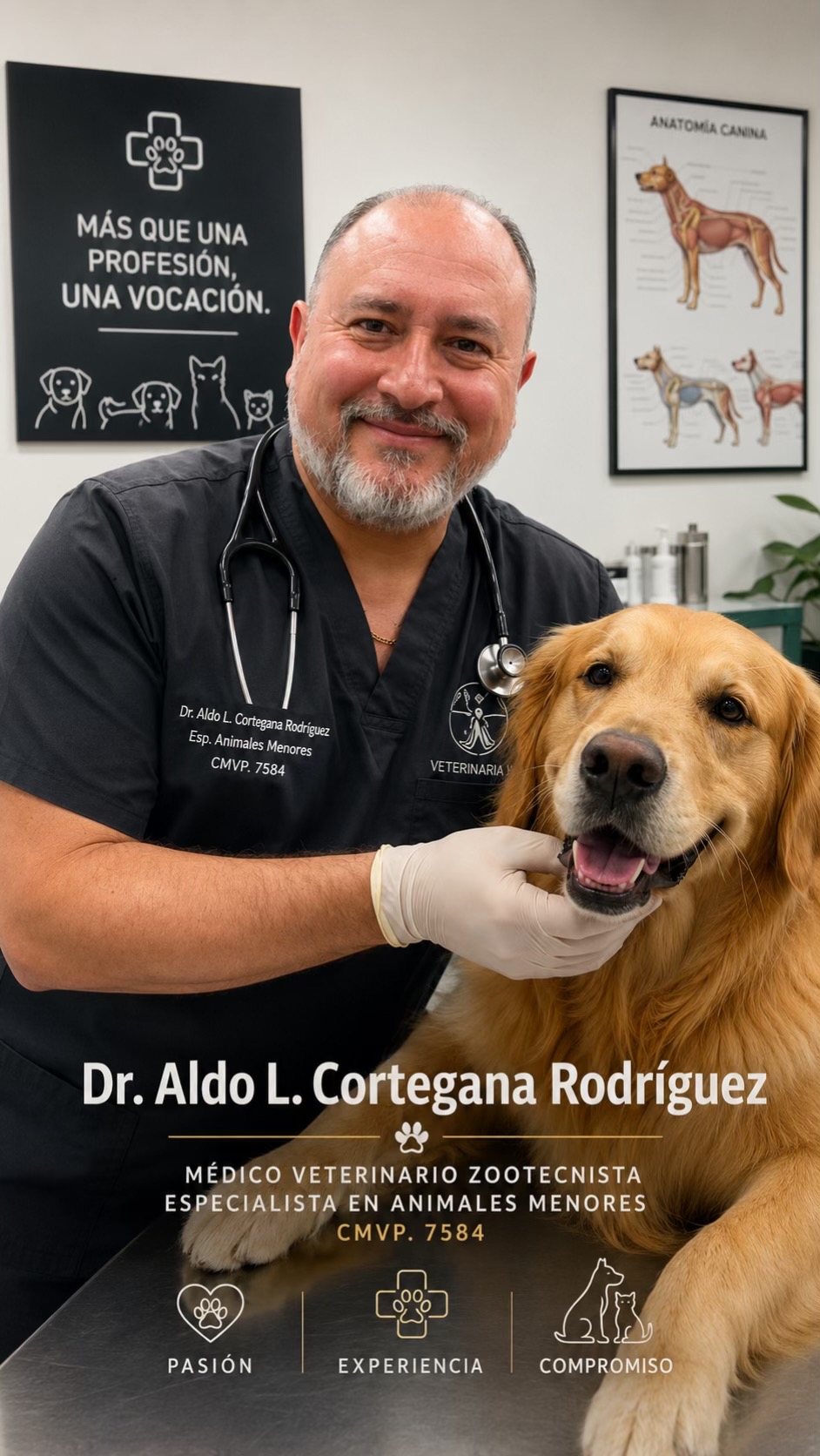 @VETERINARIA DR. CORTEGANA