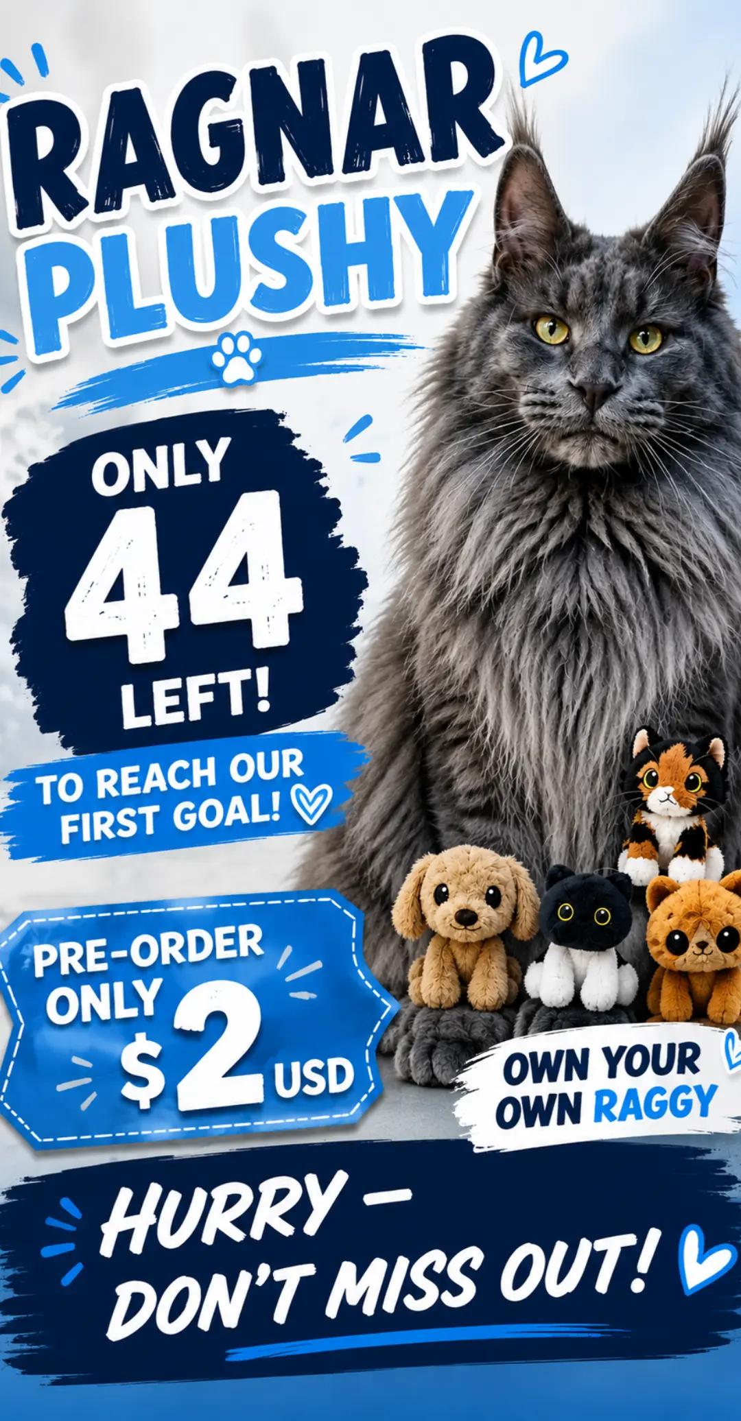 @Ragnar the Maine Coon 🐈