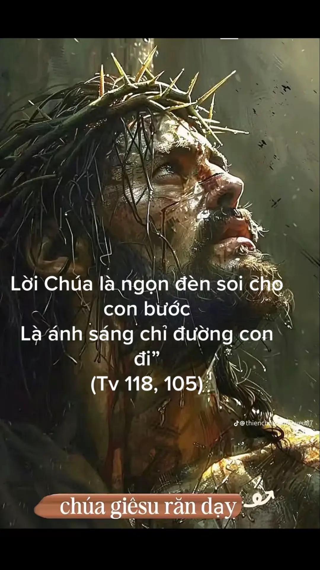 @phcnguyn328