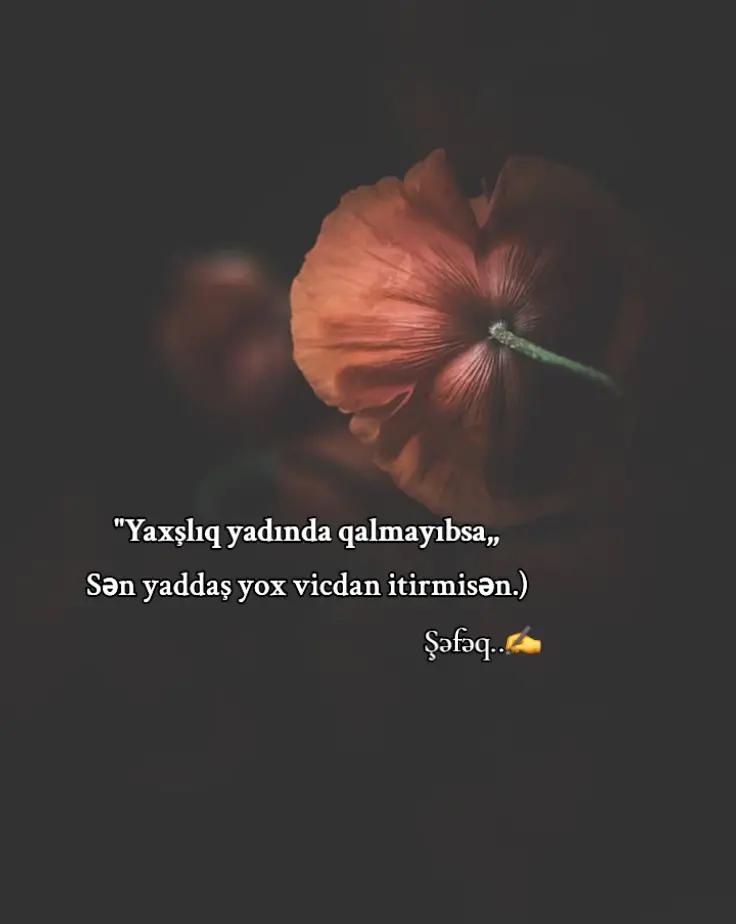 @🍂ŞƏFƏQ🍂