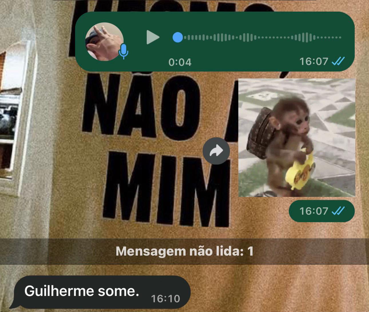 @eu.guisilva