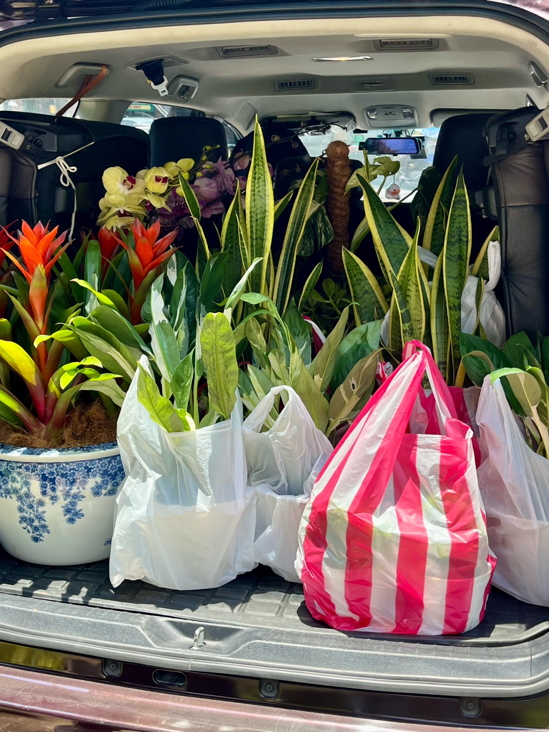 @BM-JOV GARDEN CENTER