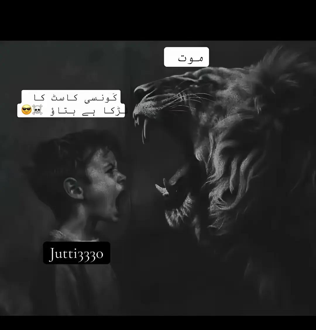 @پنڈا آلے🌱