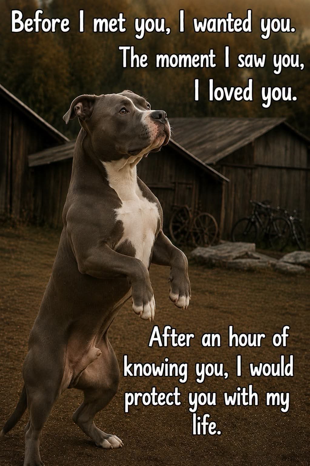 @team🌹🌹love my dogs🌹🌹🐶🐶🐶