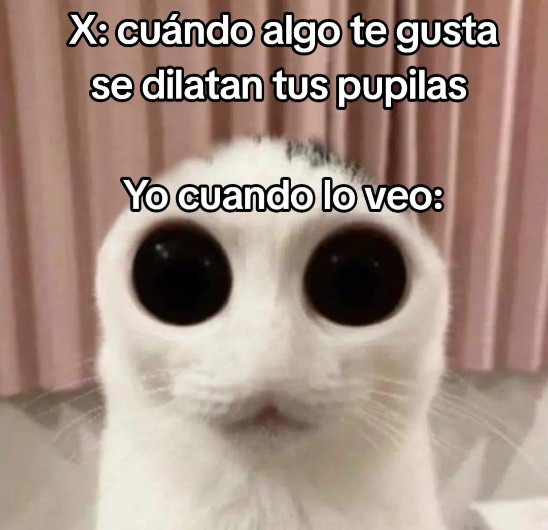 @Karlache