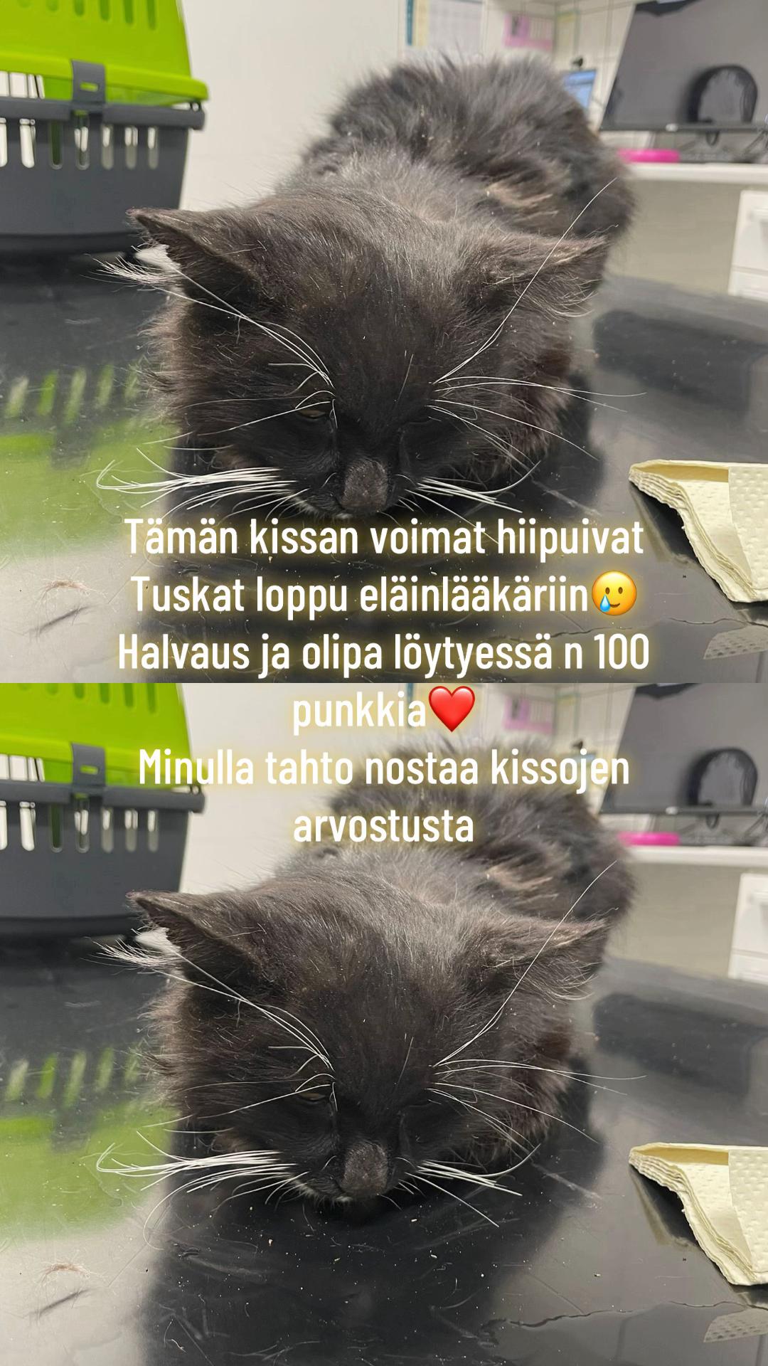 @VierashuoneSimo  (Simo Tolonen