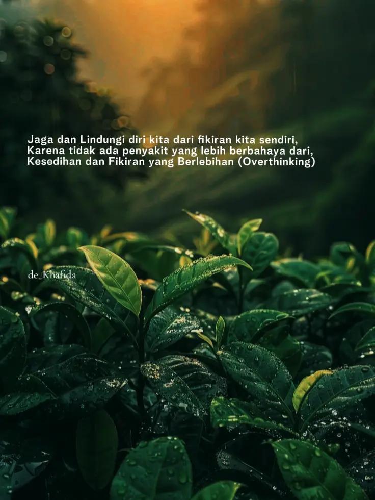 @de_Khafida