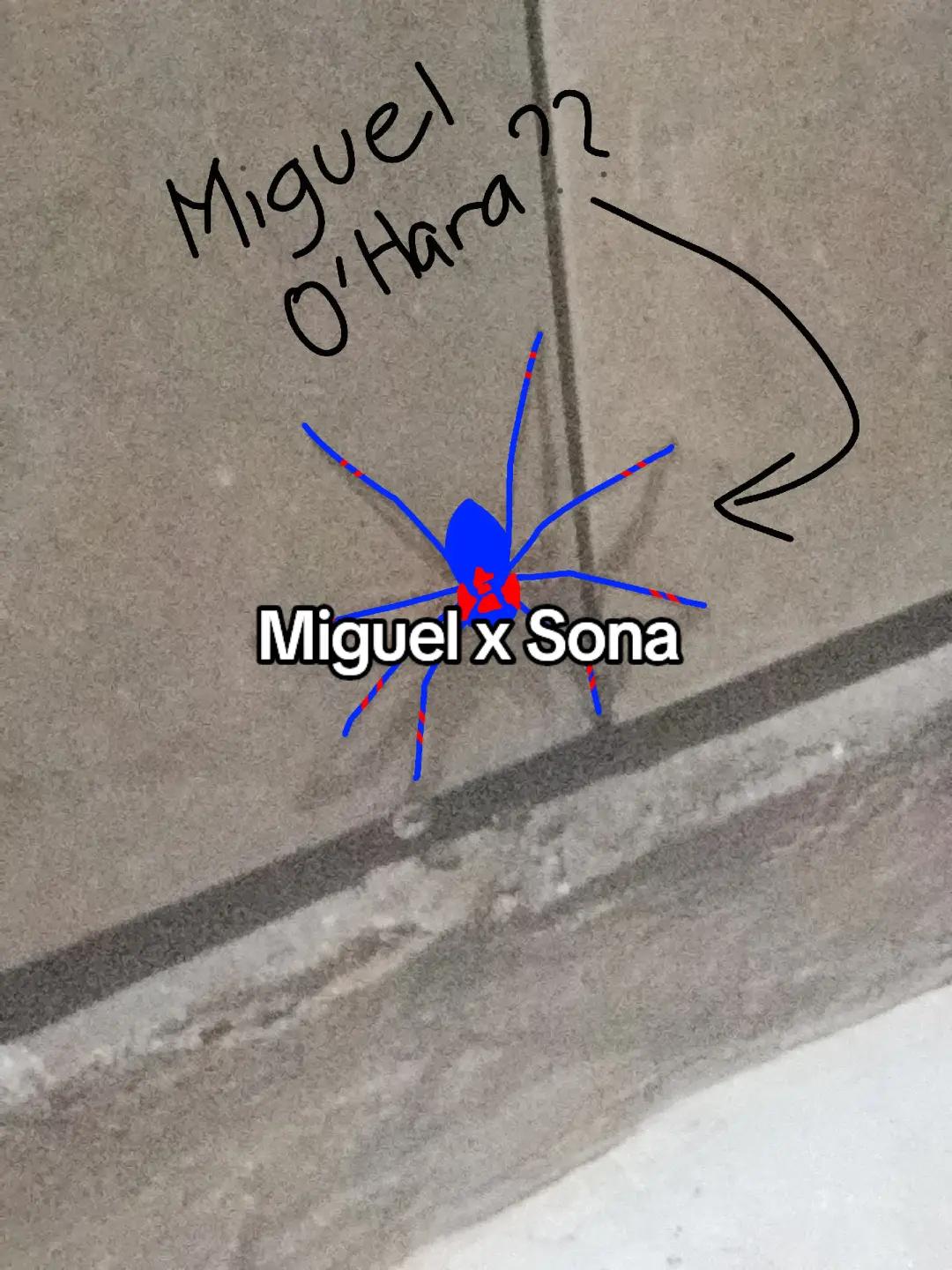 @Typical_mitch(MiguelOHaraSimp)