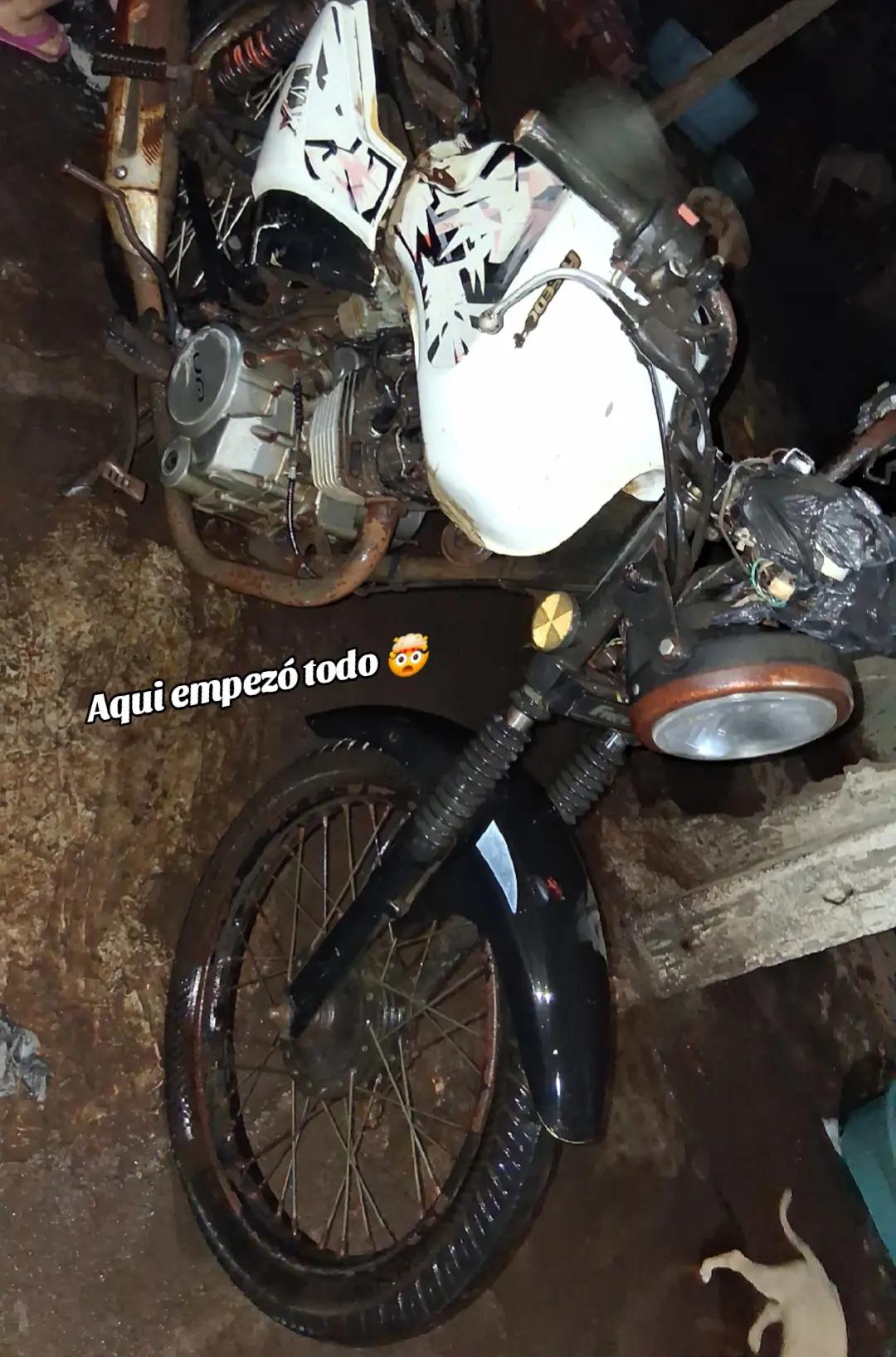 @LĄS_REYNAS_DĘL ASFALTO😎🎭😍