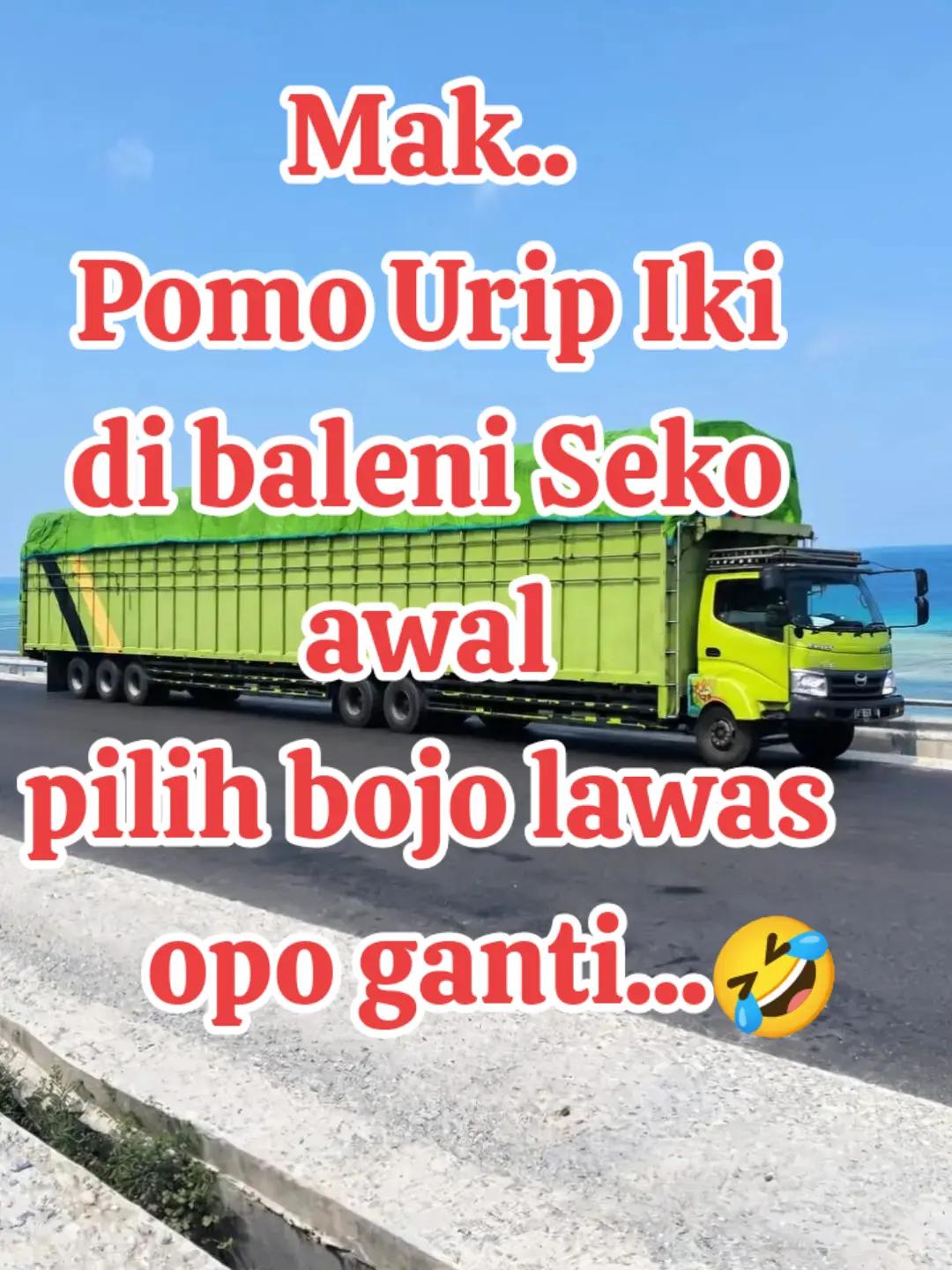 @zuli'$tory'Dudo Lp timur⚡