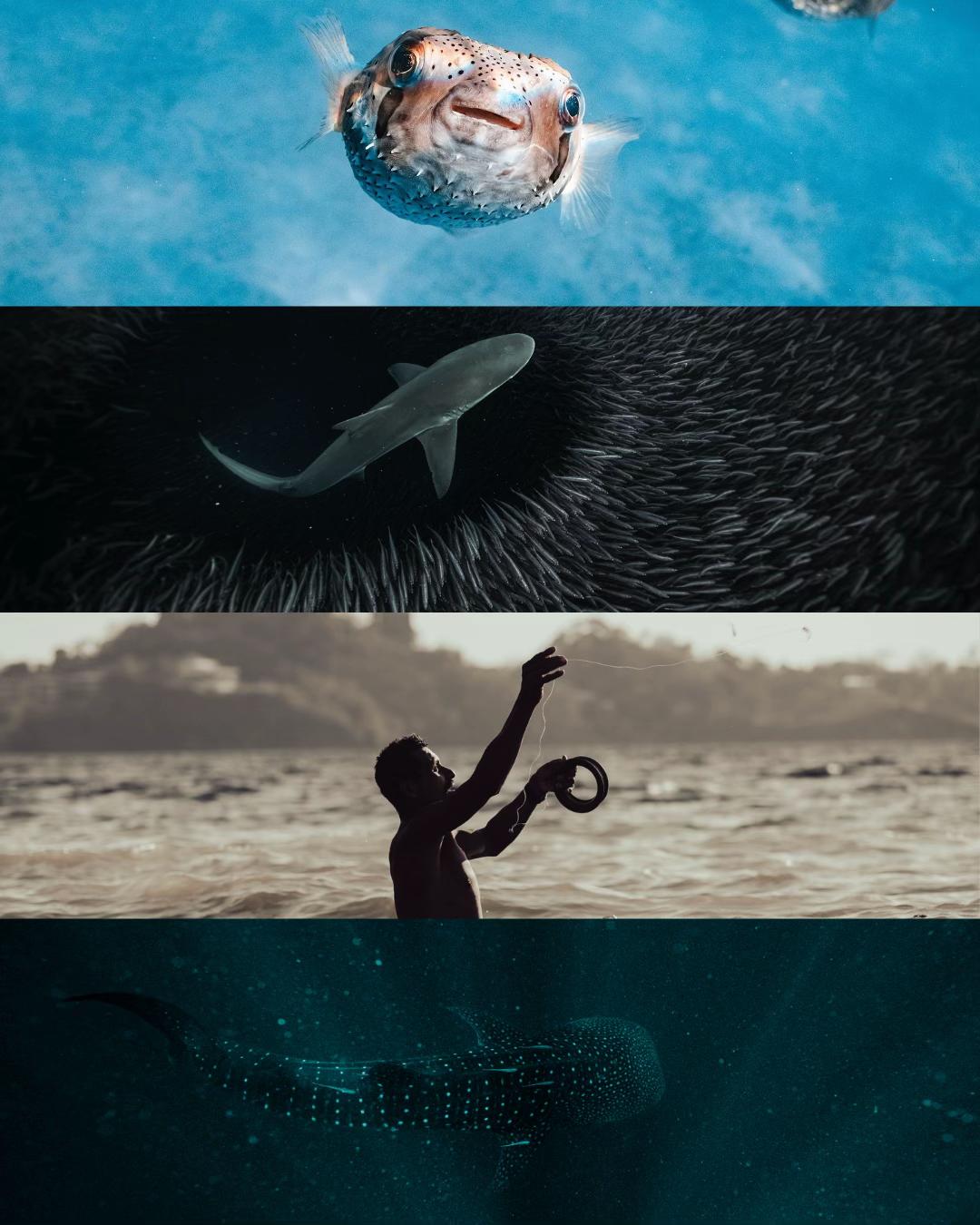 @The Black Mermaid