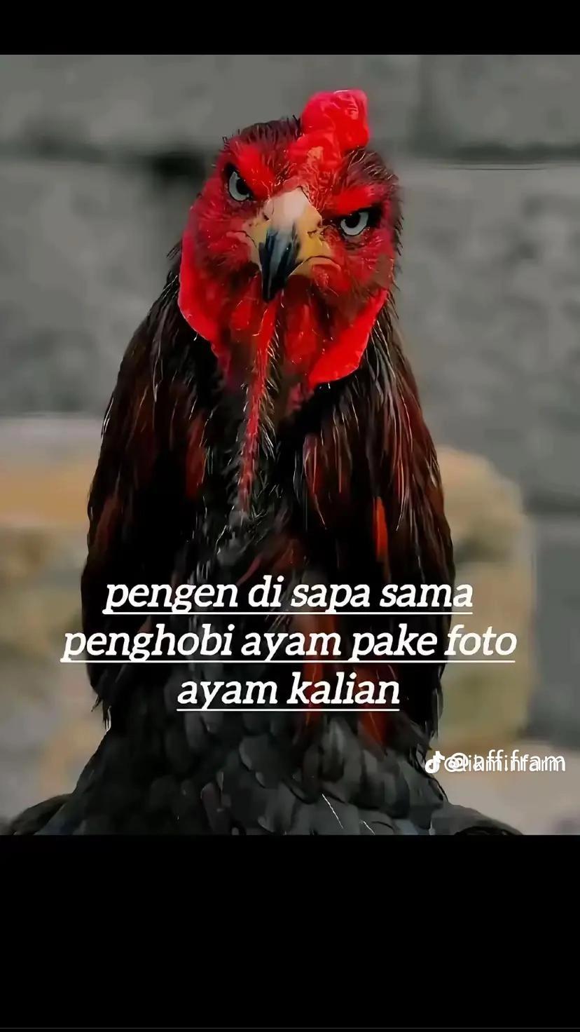 @Razak