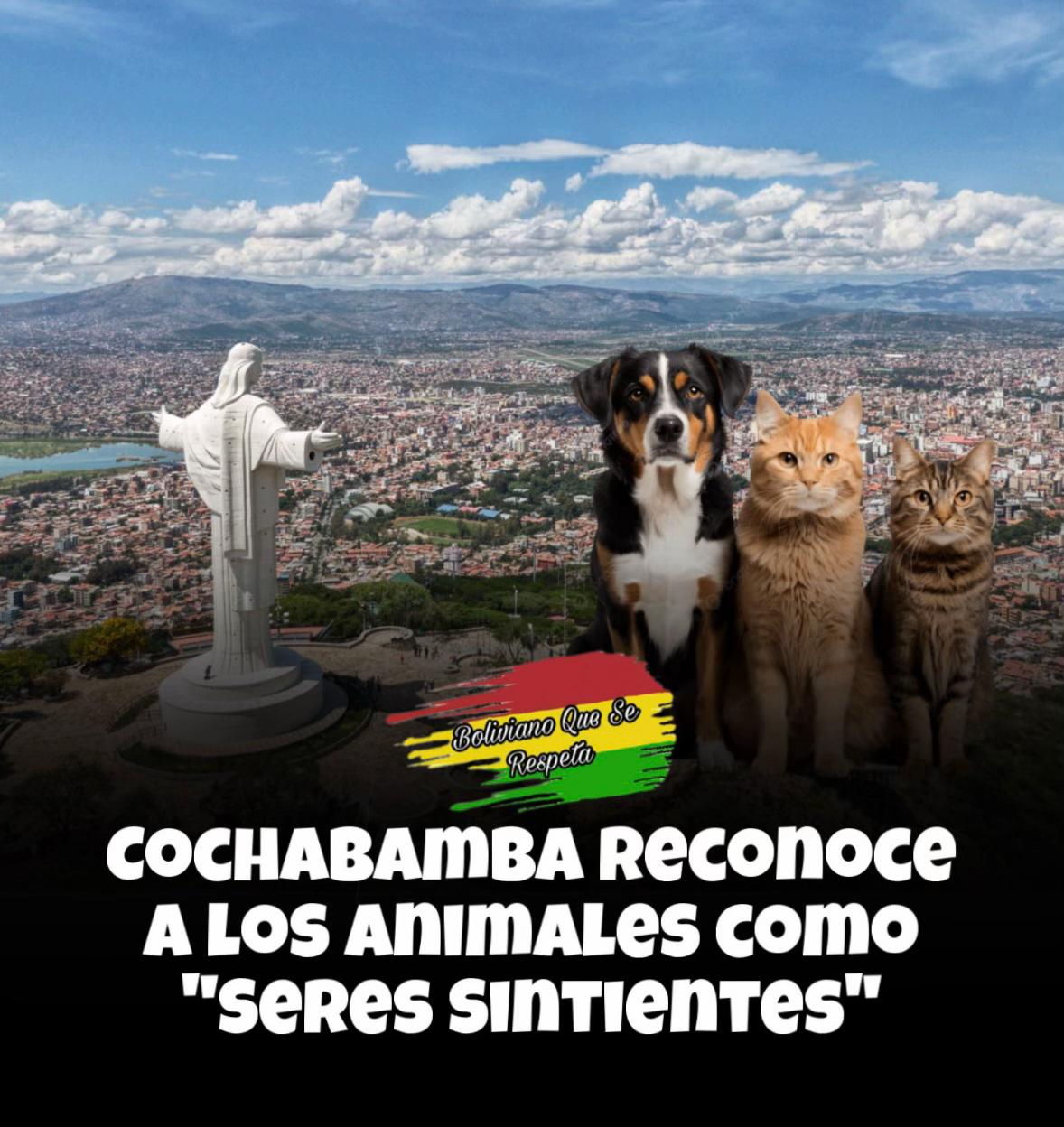 @Boliviano Que Se Respeta 🇧🇴