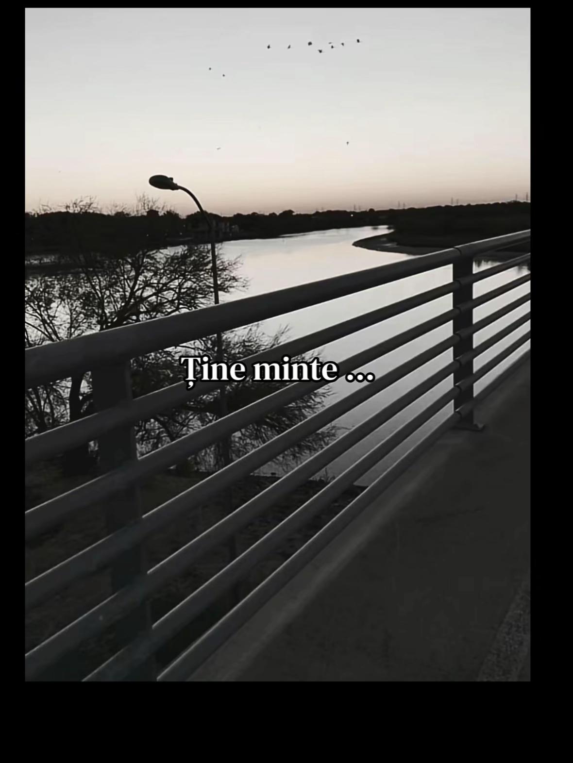 @♛𝕊𝕒𝕞𝕒𝕟𝕥𝕒