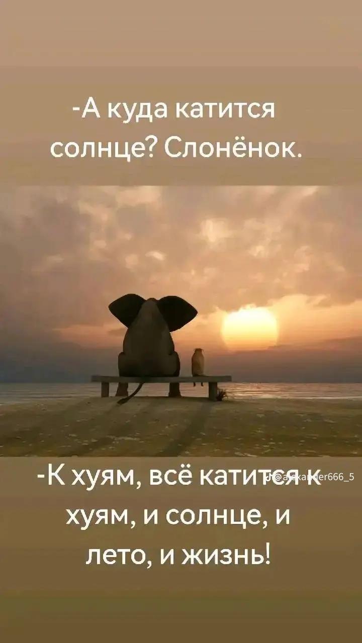 @🇧🇾 Санёк 🇧🇾