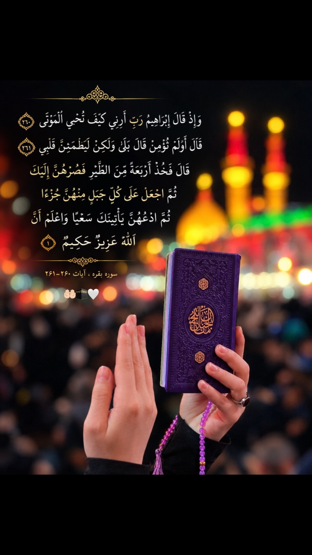 @𝓢𝓪𝓶𝓲𝓻𝓪❀